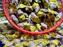 -聚盛源蒸汽海鲜火锅烤肉自助(巨川金海岸购物广场店)