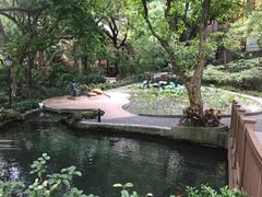 -香港大学