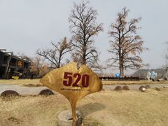 -千年银杏谷文化旅游区
