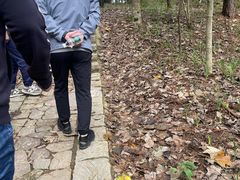 -四明山国家森林公园