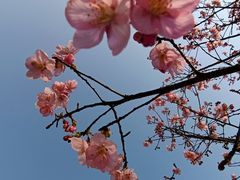 -杭州植物园
