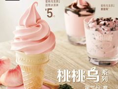 -麦当劳(红旗路店)