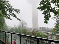 -茶颜悦色(岳麓山顶店)