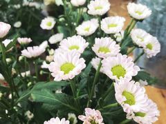-北马山庄植趣咖啡