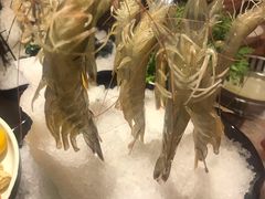 -尚海豆捞(乐虹坊店)