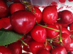 -新隆嘉 供销超市(修竹商场店)