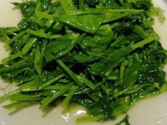 清炒豌豆尖-雲蜀龙阁·金牌水煮鱼(方庄店)