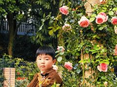 -人民公园(罗湖区)