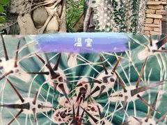 -国家植物园