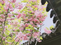 -君庭中餐厅(友谊宾馆店)