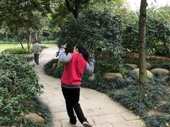 景点-金花茶公园