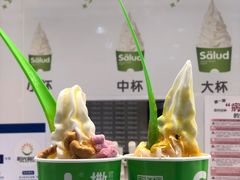 -Salud撒露欧洲冻酸奶(五道口购物中心店)