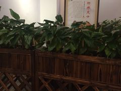 大堂-渝宗老灶火锅(巴国城店)
