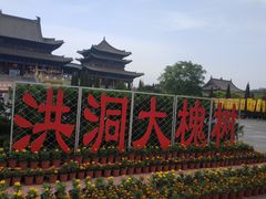-大槐树寻根祭祖园