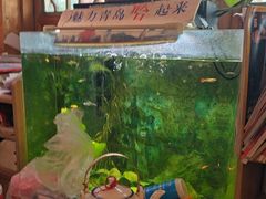 -闯关东东北农家菜(崂山石老人店)