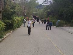 -燕塞湖鸟语林景区