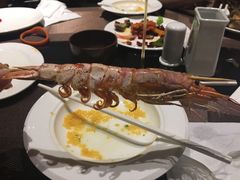 -壹号港湾