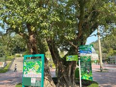 -石排湾郊野公园