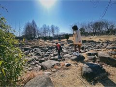 -白塘生态植物园