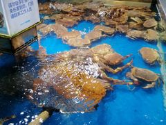-盒马鲜生(悦峰店)