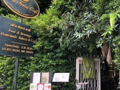 -Fern Forest Cafe