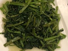-水岸阳光