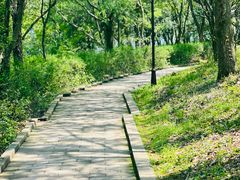 -方岩风景区
