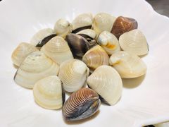 白贝-渔米粥(罗湖店)