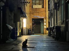 -普朗姆生蚝吧(原建国路店)