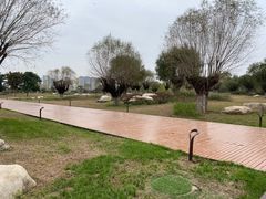 -汉长安城未央宫国家考古遗址公园