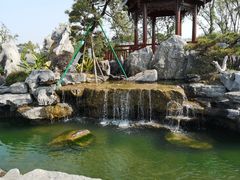 -东莞植物园
