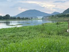 -风云岭森林公园