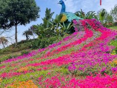 -东莞植物园