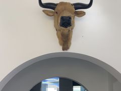 -黄牛肉馆·皖南土菜