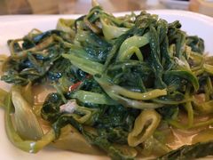 -新世纪大酒楼·30年南海菜
