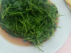 -洞天食府(北大街店)