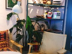 -喵屿·大理花园猫咖