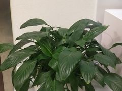-中田健身工作室(东园店)
