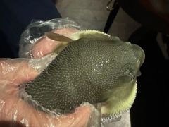 -肆月河豚·淮扬菜·湘菜(华天店)