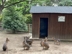 -苏州太湖西山岛开心农场