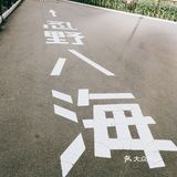 忍野八海，日本旅游的景点之一，离富士山不远