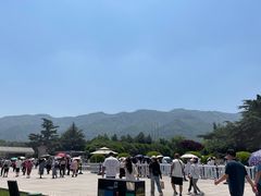 -秦始皇帝陵博物院-丽山园