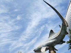 -烟台海昌鲸鲨海洋公园