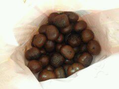 -金栗王(清扬路店)