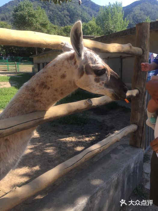 西安秦岭野生动物园图片