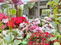 -惠山古镇·寄畅园