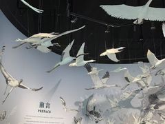 -中国湿地博物馆
