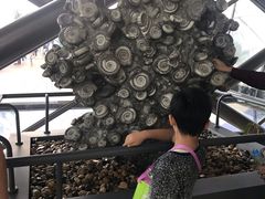 -贝林大翅鲸简餐厅(国家海洋博物馆店)