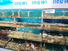 -仙螺岛海鲜自助餐厅(总店)