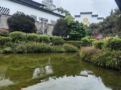 -泸州老窖景区